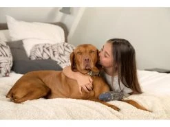 Designed by Lotte Hunde-Decke Wush, 150 × 125 cm 5 Designed by Lotte Hunde-Decke Wush, 150 × 125 cm -Hundewelt Verkäufe 219787135 xxl