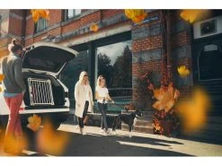 4pets Transportbox ECO 2 Medium 8 4pets Transportbox ECO 2 Medium -Hundewelt Verkäufe 220244102 xxl