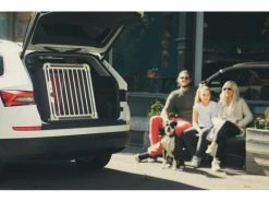 4pets Transportbox ECO 3 Large 9 4pets Transportbox ECO 3 Large -Hundewelt Verkäufe 220244737 xxl 2