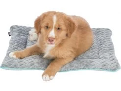 Trixie Hunde-Liegematte Junior, 50 x 40 cm, Hellgrau/Mint -Hundewelt Verkäufe 220515108 xxl