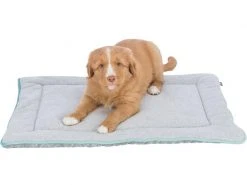 Trixie Hunde-Liegematte Junior, 70 x 50 cm, Hellgrau/Mint -Hundewelt Verkäufe 220515957 xxl