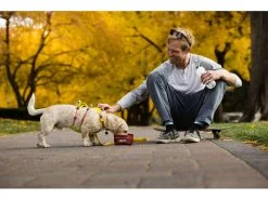 Ruffwear Geschirr Flagline, Lichen Green -Hundewelt Verkäufe 221765960 xxl