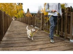 Ruffwear Geschirr Flagline, Lichen Green -Hundewelt Verkäufe 221765968 xxl