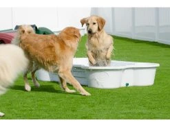 ONE DOG ONE BONE Hundepool Knochenform, Weiss, 167.6 x 111.8 x 27.9 cm -Hundewelt Verkäufe 221768221 xxl