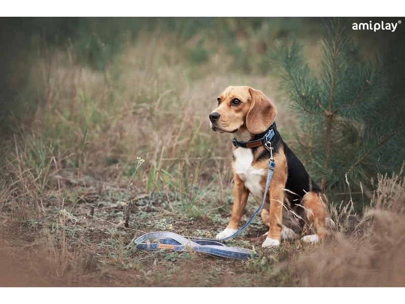 Amiplay Hundeleine Denim, 1.4 m, Hellblau 2 Amiplay Hundeleine Denim, 1.4 m, Hellblau – Bild 2