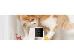 Petcube Haustierkamera Pet Cube -Hundewelt Verkäufe 223340947 xxl