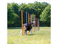 Trixie Agility Slalom Dog Activity Set, 12 Stangen -Hundewelt Verkäufe 224389838 xxl
