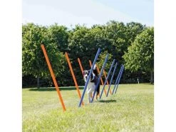 Trixie Agility Slalom Dog Activity Set, 12 Stangen -Hundewelt Verkäufe 224389868 xxl