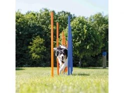 Trixie Agility Slalom Dog Activity Set, 12 Stangen -Hundewelt Verkäufe 224389901 xxl