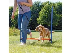 Trixie Agility Hürde Dog Activity -Hundewelt Verkäufe 224391494 xxl