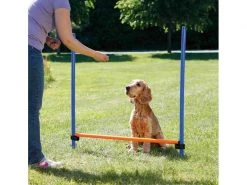 Trixie Agility Hürde Dog Activity -Hundewelt Verkäufe 224391497 xxl