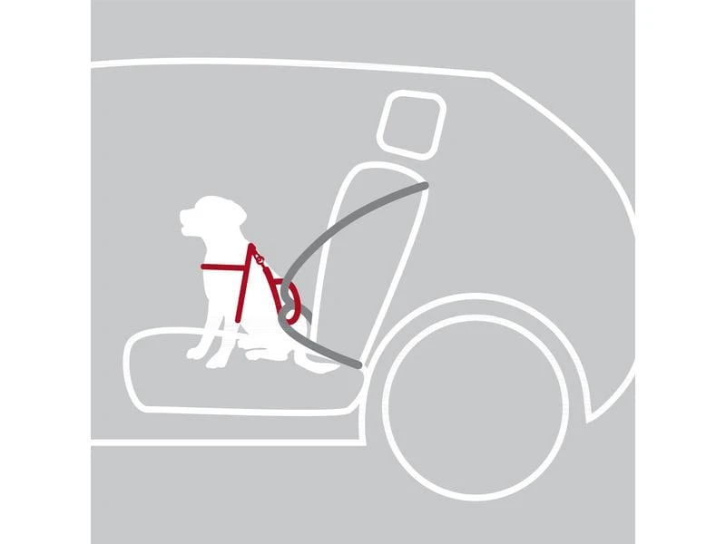 Trixie Auto-Geschirr Dog Protect L 2 Trixie Auto-Geschirr Dog Protect L – Bild 2