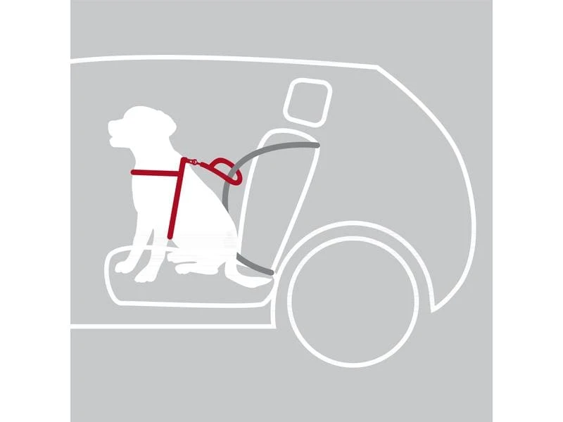 Trixie Auto-Geschirr Dog Protect L 3 Trixie Auto-Geschirr Dog Protect L – Bild 3