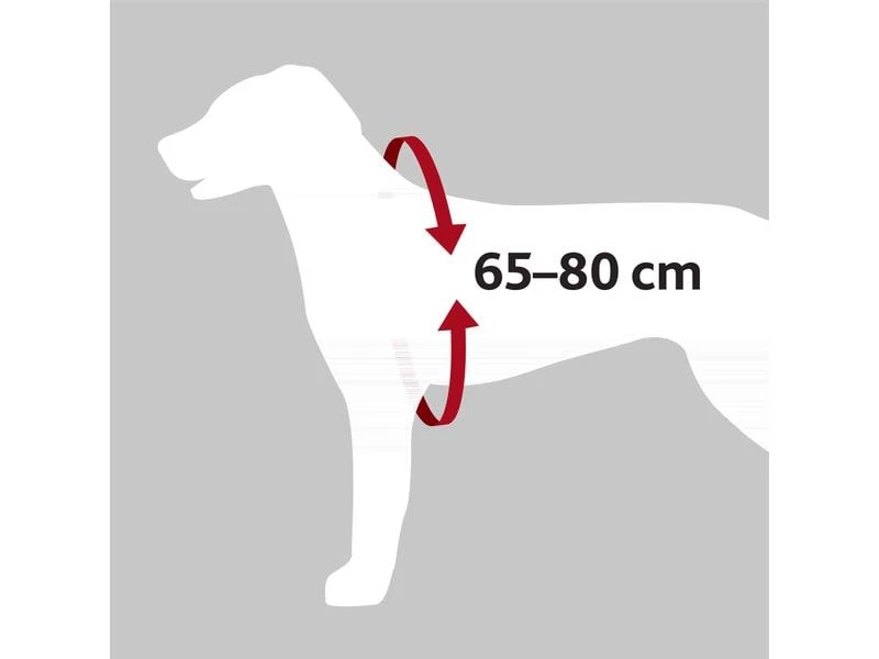 Trixie Auto-Geschirr Dog Protect L 4 Trixie Auto-Geschirr Dog Protect L – Bild 4