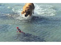 Rogz Schwimmspielzeug Leuchtturm, Rot-Weiss -Hundewelt Verkäufe 224774692 xxl
