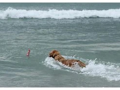 Rogz Schwimmspielzeug Leuchtturm, Rot-Weiss -Hundewelt Verkäufe 224774704 xxl