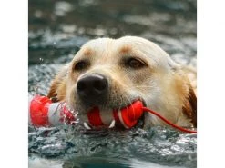 Rogz Schwimmspielzeug Leuchtturm, Rot-Weiss -Hundewelt Verkäufe 224774712 xxl