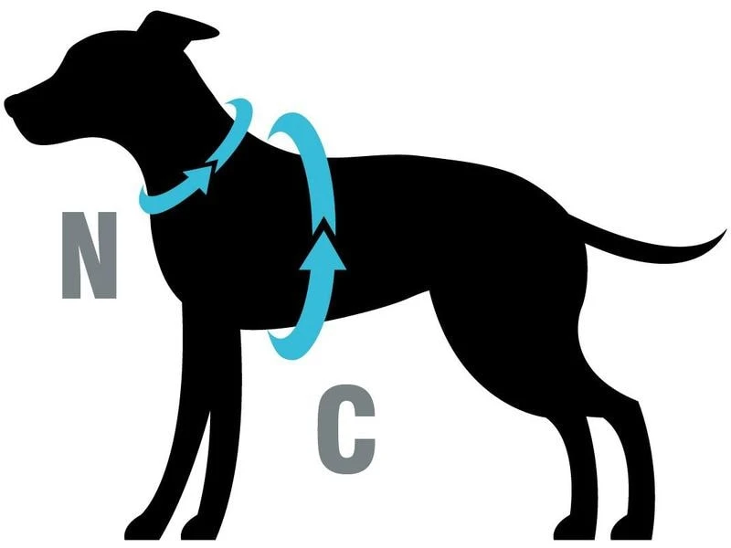 Petlando Geschirr Y-Comfort Mesh, Cognac 2 Petlando Geschirr Y-Comfort Mesh, Cognac – Bild 2