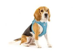Curli Geschirr Vest Air-Mesh 3XS, Türkis, Special Edition 2022 -Hundewelt Verkäufe 225537778 xxl