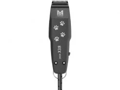 Hundewelt Verkäufe -Hundewelt Verkäufe 225655729 xxl 1