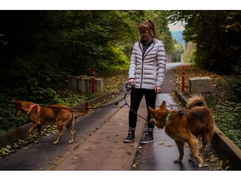 Wigzi Hundeleine Dual Doggie Gel S Schwarz 3 Wigzi Hundeleine Dual Doggie Gel S Schwarz – Bild 3