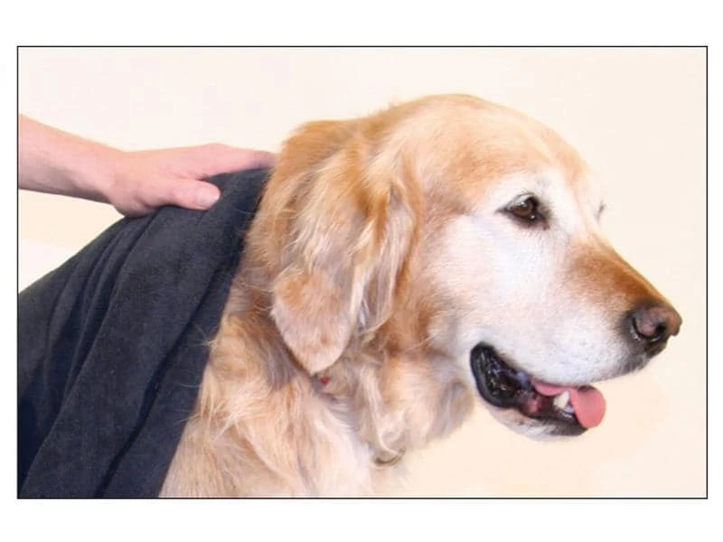 SwissPet Handtuch Micro L, Dunkelgrau 2 SwissPet Handtuch Micro L, Dunkelgrau – Bild 2