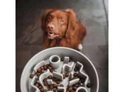 District 70 Bambusnapf Bamboo Dog Slow Feeder Ø 21 cm, Creme-Weiss 11 District 70 Bambusnapf Bamboo Dog Slow Feeder Ø 21 cm, Creme-Weiss -Hundewelt Verkäufe 228265374 xxl