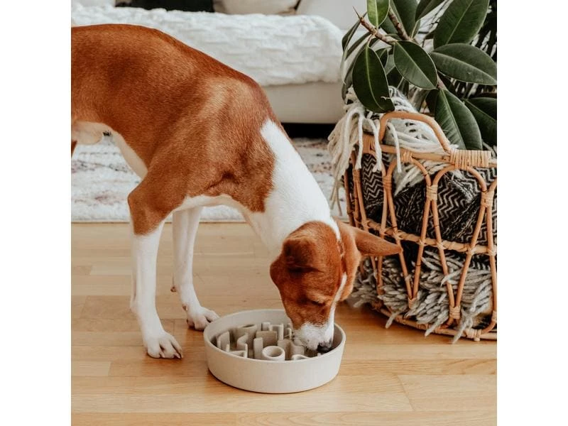 District 70 Bambusnapf Bamboo Dog Slow Feeder Ø 21 cm, Creme-Weiss 7 District 70 Bambusnapf Bamboo Dog Slow Feeder Ø 21 cm, Creme-Weiss – Bild 7