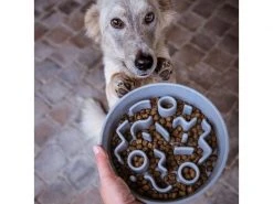 District 70 Bambusnapf Bamboo Dog Slow Feeder Ø 21 cm, Ice-Blue 10 District 70 Bambusnapf Bamboo Dog Slow Feeder Ø 21 cm, Ice-Blue -Hundewelt Verkäufe 228265407 xxl