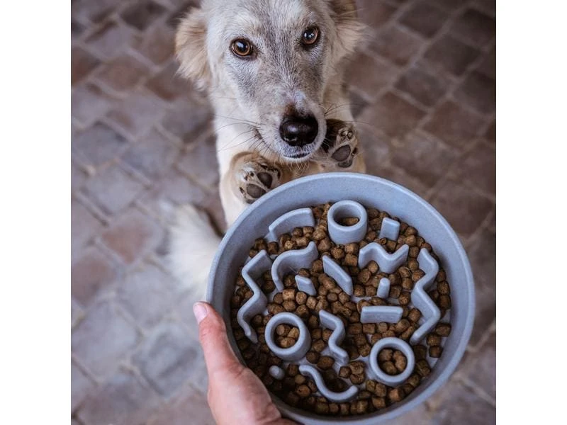District 70 Bambusnapf Bamboo Dog Slow Feeder Ø 21 cm, Ice-Blue 5 District 70 Bambusnapf Bamboo Dog Slow Feeder Ø 21 cm, Ice-Blue – Bild 5