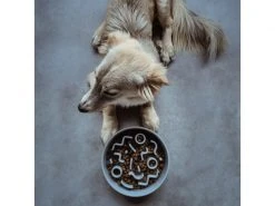 District 70 Bambusnapf Bamboo Dog Slow Feeder Ø 28 cm, Ice-Blue -Hundewelt Verkäufe 228265414 xxl 1