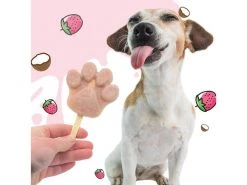 BeG Buddy Hunde-Nahrungsergänzung Eispulver mit Kokos-Erdbeere, 66 g -Hundewelt Verkäufe 228518851 xxl