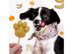 BeG Buddy Hunde-Nahrungsergänzung Eispulver mit Kürbis-Banane, 66 g -Hundewelt Verkäufe 228518872 xxl