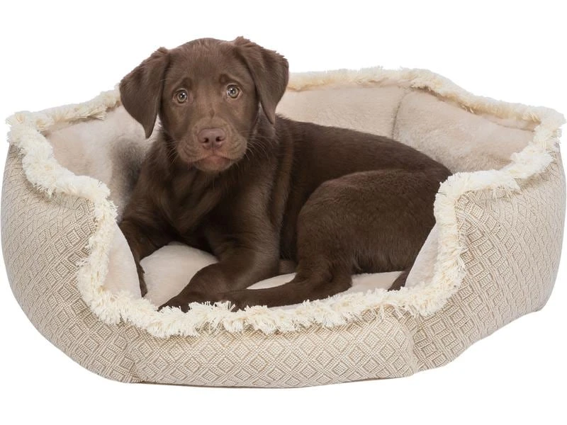 Trixie Hunde-Bett Boho SOFT Edition, 80 x 80 cm 2 Trixie Hunde-Bett Boho SOFT Edition, 80 x 80 cm – Bild 2