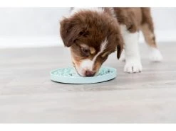 Trixie Junior Schleckplatte, Ø 21 cm, Mint -Hundewelt Verkäufe 229976457 xxl