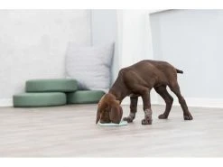 Trixie Junior Schleckplatte, Ø 21 cm, Mint -Hundewelt Verkäufe 229976461 xxl