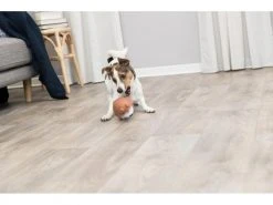 Trixie Hunde-Spielzeug Hund, 14 cm -Hundewelt Verkäufe 230057686 xxl