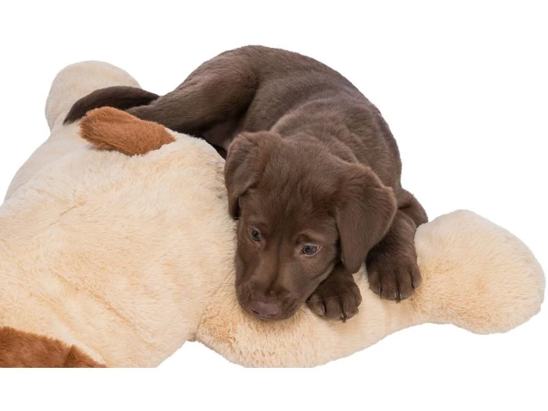 Trixie Ankuschelhund Benny SOFT Edition, 75 cm 5 Trixie Ankuschelhund Benny SOFT Edition, 75 cm – Bild 5