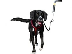 Trixie Biker-Set Friends on Tour