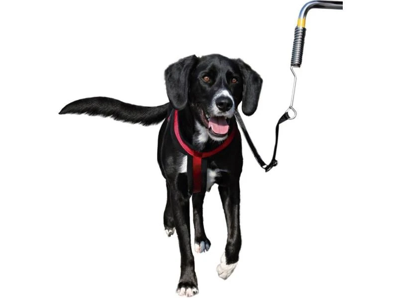 Trixie Biker-Set Friends on Tour 1 Trixie Biker-Set Friends on Tour