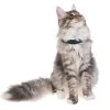 PetTracer GPS-Katzenhalsband Zusatzhalsband