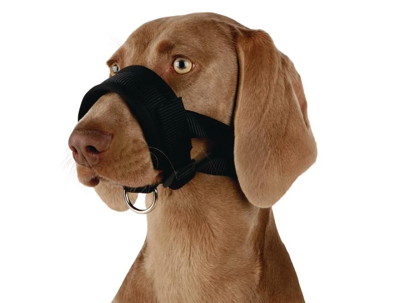 Trixie Maulschlaufe Nylon L 1 Trixie Maulschlaufe Nylon L