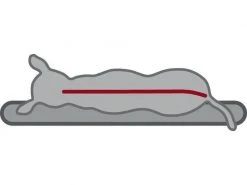 Trixie Hunde-Kissen Vital Best of all Breeds 60 x 40 cm -Hundewelt Verkäufe 52086677 xxl