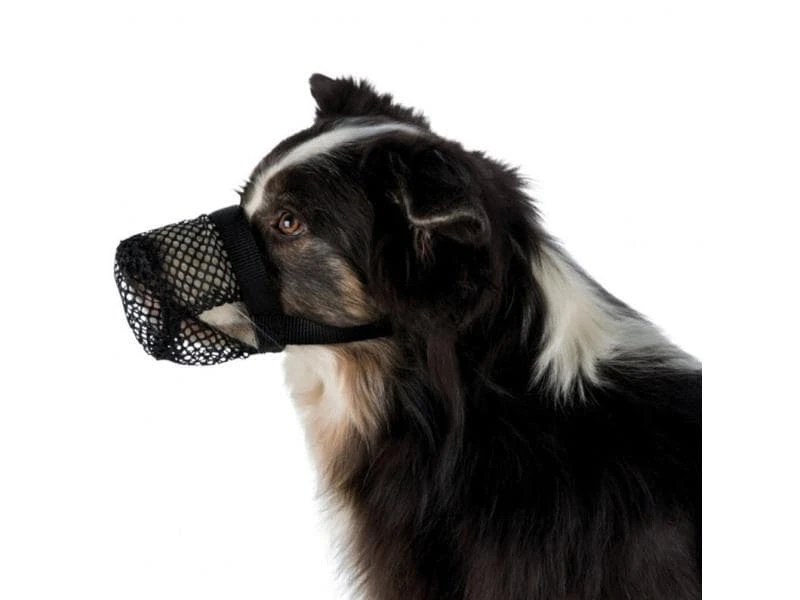 Trixie Maulkorb Giftköder-Schutznetz, M-L 2 Trixie Maulkorb Giftköder-Schutznetz, M-L – Bild 2