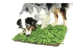 KNAUDER'S BEST Strategie-Spiel Schnüffelrasen