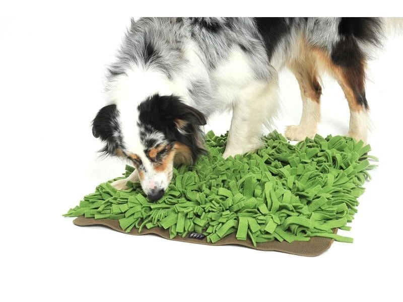 KNAUDER'S BEST Strategie-Spiel Schnüffelrasen 1 KNAUDER'S BEST Strategie-Spiel Schnüffelrasen