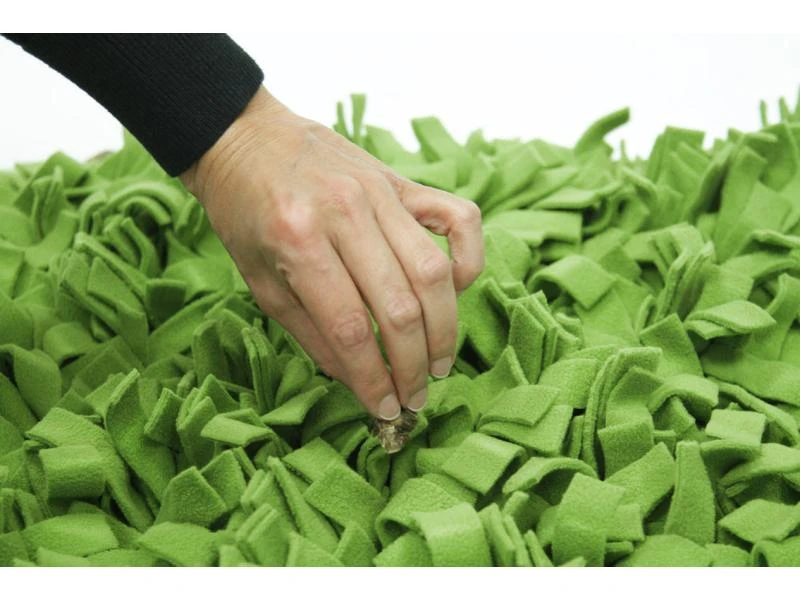 KNAUDER'S BEST Strategie-Spiel Schnüffelrasen 5 KNAUDER'S BEST Strategie-Spiel Schnüffelrasen – Bild 5