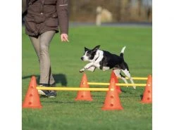 Trixie Agility Hürde Activity Hindernis Set L -Hundewelt Verkäufe 52737853 xxl 1