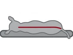 Trixie Hunde-Kissen Vital Bendson oval -Hundewelt Verkäufe 52915203 xxl