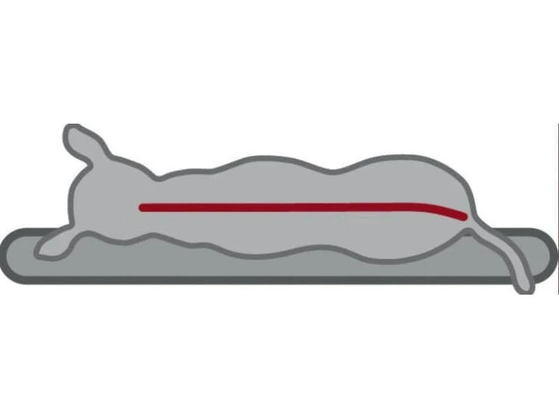 Trixie Hunde-Kissen Vital Bendson 120 x 72 cm 5 Trixie Hunde-Kissen Vital Bendson 120 x 72 cm – Bild 5